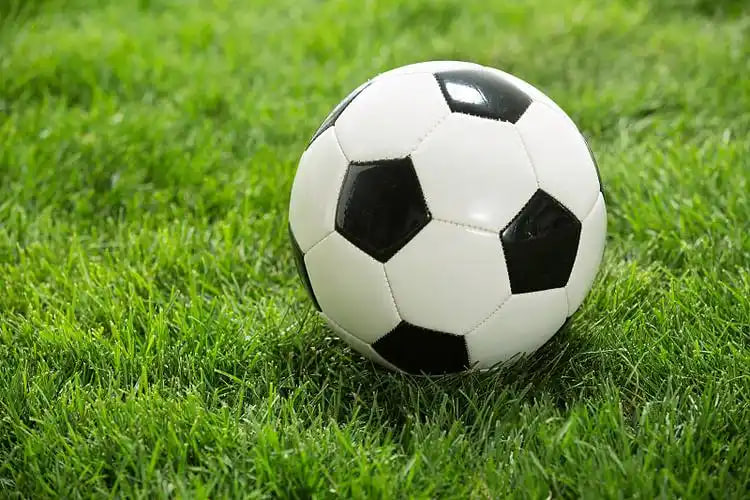 体育媒体使用场景